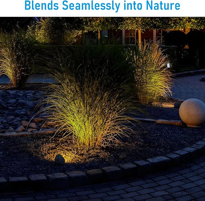 LEONLITE 5CCT LED Rock Lights Outdoor, 5W Low Voltage Landscape Spot Light for Garden, Yard, Decorative Stone | Lumora