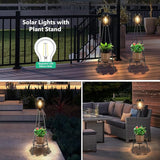 MXwcy 2 Pack Solar Lights Outdoor with Plant Stands, Solar Floor Lamp with LED Edison Bulbs for Garden Yard Pathway | Lumora