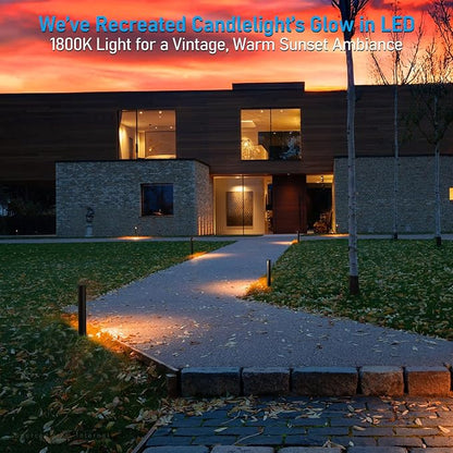 LEONLITE 12-Pack 5CCT Low Voltage Pathway Lights, 5W 12-24V Wired LED Landscape Lighting for Yard Sidewalk, IP65 Waterproof Path Light, Die-Casted Aluminum, 1800K/2700K/3000K/4000K/5000K, ETL
