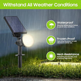 Bosceos 2-Pack Solar Lights Outdoor Waterproof, 30LEDs Solar Spot Pathway Lights with 3 Modes, Garden Light Auto | Lumora