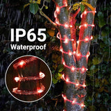 Solar Rope Lights, 2 Packs Total 132ft 400LED Solar String Lights, 8 Modes Waterproof Solar Powered Outdoor Light | Lumora