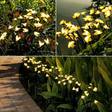 Solar Firework Lights 2Pcs Garden Lights Outdoor Waterproof, 120 LED Distribution in 40 Branches Copper Wire | Lumora