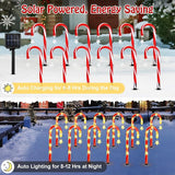 Lewondr 15" Solar Christmas Candy Cane Lights Outdoor, Pathway Stake Lights with 2 Modes, 216 LED Beads, Waterproof | Lumora