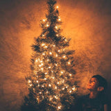 Brightown C9 LED Christmas String Lights, 66ft 100 LED Waterproof Strawberry String Lights, Plug-in Extendable | Lumora
