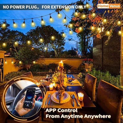HVS Smart Outdoor String Lights (Without Power Plug ),LED 24Ft-12 Bulbs Tunable Dimmable Warm White Cafe Patio Lights,APP Control 2.4GHz WiFi Waterproof Acrylic Diamond Bulb Work with Alexa Google