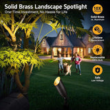 Gardenreet Landscape Spotlights Low Voltage - Brass 12V Outdoor Uplight LED, Wired Spot Lights IP65 Waterproof | Lumora