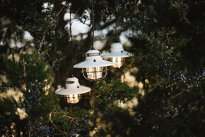 Barebones Edison Pendant Light – Vintage White, Vintage Rustic USB LED Hanging Light for Outdoor and Indoor Use – | Lumora