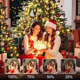 SAUIRS 600FT 1500 LED Christmas Lights Outdoor String Lights with 8 Modes Timer Waterproof Fairy Light Plug in for | Lumora