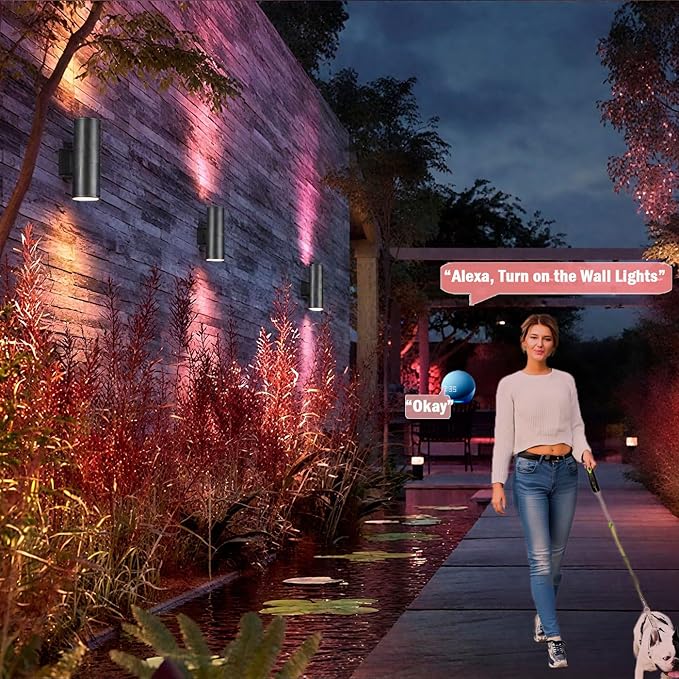 Bling RF Remote Control RGB Colour Changing Lighting LED Double Up and Down Outdoor Wall Light,White Temperature 2700k- 6500k RGB+CCT Exterior Wall Lighting (4 Pack)