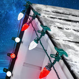 C9 LED Christmas Lights Outdoor with 50 Spring Clips, 50ft 50 LED Waterproof Strawberry String Lights, Commercial | Lumora