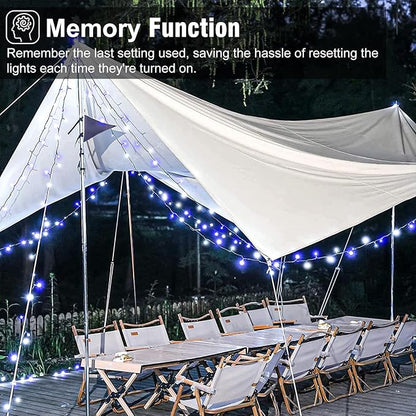 Blue and White Christmas Lights Outdoor, 100FT 300 LED Christmas Tree Lights with 8 Modes Waterproof, Connectable Green Wire String Twinkle Lights for Indoor Patio Garden Xmas Party Decorations