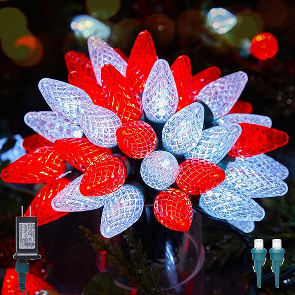 C9 LED Christmas Lights Outdoor, 81 Feet 100 LED String Lights with Timer & 8 Light Mode, Waterproof Commercial | Lumora