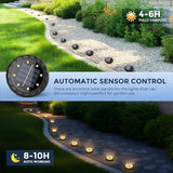 SOLPEX Mini Solar Ground Lights, 12 Pack Solar Lights Outdoor Waterproof, Landscape Lighting for Garden Pathway | Lumora