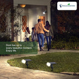 DINGLILIGHTING Solar Lights Outdoor Waterproof: IP65 Led Spot Light Decorations for Garden - 3 Lighting Modes Solar | Lumora