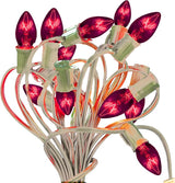 EST. LEE DISPLAY L D 1902 C7 Purple Christmas Lights, Transparent Candelabra Steady Bulbs, Indoor ＆ Outdoor String | Lumora