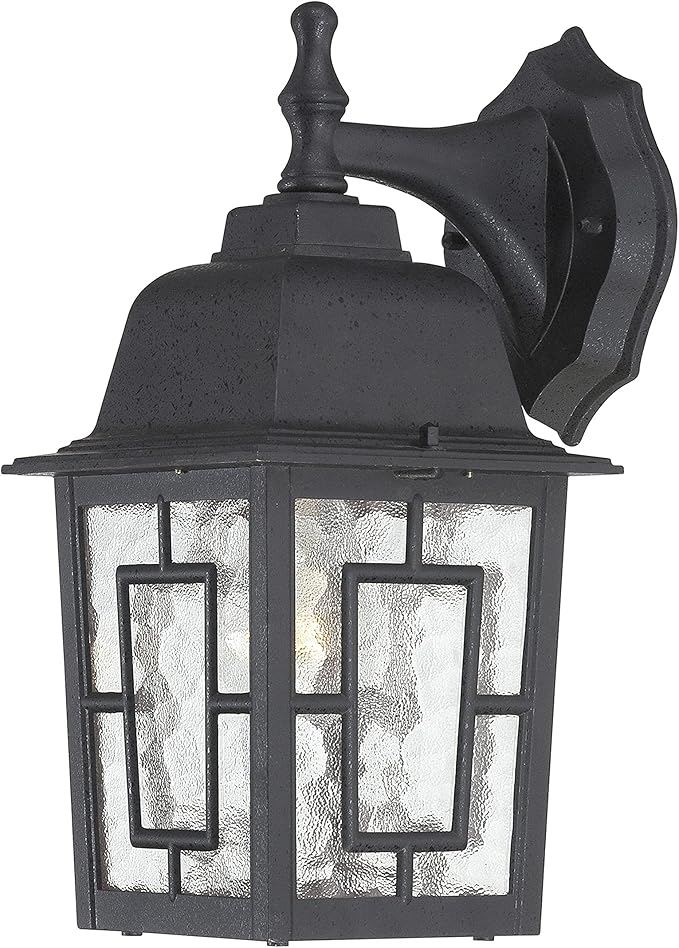 Nuvo Lighting 60/4923 Banyon One Light Wall Lantern/Arm Down 100 Watt A19 Max. Clear Water Glass Textured Black | Lumora