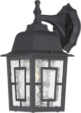 Nuvo Lighting 60/4923 Banyon One Light Wall Lantern/Arm Down 100 Watt A19 Max. Clear Water Glass Textured Black | Lumora