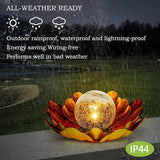 WNP Solar Flower Light Outdoor Christmas Decorative,Garden Solar Powered Lights,Yard Solar Glass Ball Light with | Lumora