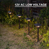 GOODSMANN Landscape Lighting Low Voltage Landscape Path Lights Oil Rubbed Bronze 8PK Path Lights Low Voltage 4W LED | Lumora