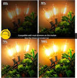 DAMAING Outdoor String Lights 50FT Waterproof,LED Patio Lights Dimmable with 27 Bright Shatterproof Retro | Lumora