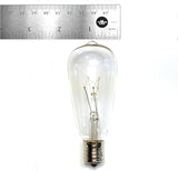 Hometown Evolution, Inc. Commercial Grade Vintage Edison Outdoor String Lights (ST40 Clear - Commercial Black Wire | Lumora