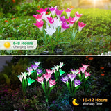 WdtPro Solar Outdoor Lights Garden Decorative 10 Pack, Waterproof Solar Garden Lights with 40 Lily Flowers | Lumora