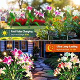 WdtPro Upgraded Solar Garden Lights Outdoor: 4 Pack 2-in-1 Solar Firefly Swaying Light with Lily Flower and Glowing | Lumora