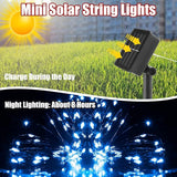 12 Pcs Solar String Lights Solar Mini Teeny Tiny Fairy Firefly Twinkle Light Waterproof 16ft 50 LEDs Garden String | Lumora