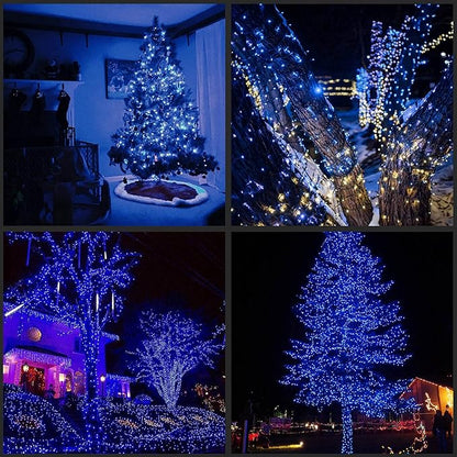 YULETIME 200 Blue LED Christmas Lights with Black Wire, Pack of 2 Strands 33 Feet 100 Lights UL Certified Holiday String Light Set