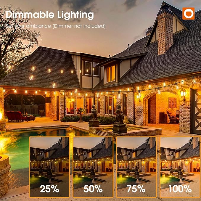 addlon 100FT LED Outdoor String Lights with Edison Shatterproof Bulbs, Heavy-Duty and Weatherproof Strand, Commercial Grade Patio Lights, Decorative for Garden or Patio, Black