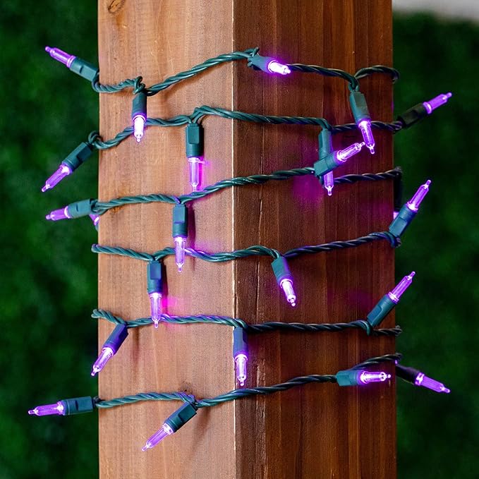 Novelty Lights Vintage Style T5 Warm White LED Christmas Lights, 11.5 Feet Green Wire String of 35 Mini Bulbs, UL Listed Indoor/Outdoor Tree Lighting