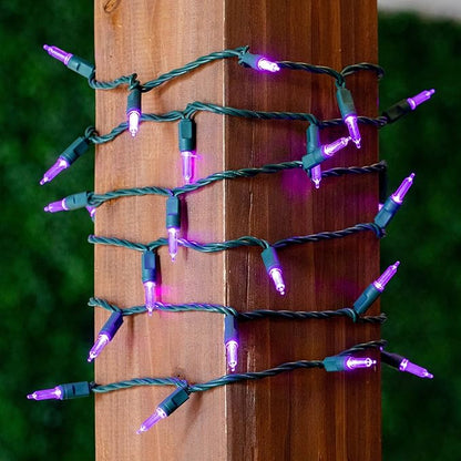 Novelty Lights Vintage Style T5 Warm White LED Christmas Lights, 11.5 Feet Green Wire String of 35 Mini Bulbs, UL Listed Indoor/Outdoor Tree Lighting