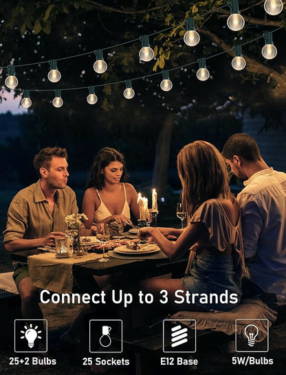 25FT Outdoor String Lights with 27 Clear Bulbs, G40 Globe Patio String Lights for Indoor/Outdoor, Connectable Hanging Lights for Backyard Porch Balcony Party Decor - Green Wire