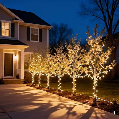 LUCKY SHINE 200 Clear Warm Christmas Lights, UL Certified and Commercial Grade 2 Sets100 Light with White Wire 66 Ft, for Indoor and Outdoor Party, Patio, Trees, Garden.