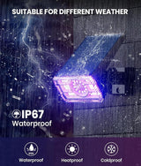 1 Pack Solar Outdoor Lights Waterproof IP67,Spotlights 6 Colors Changing+10 Lighting Modes Christmas Easter Solar | Lumora