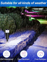 5W RGBW Low Voltage Landscape Pathway Lights with Connectors 12V Outdoor Color Changing Landscape Lighting LED | Lumora