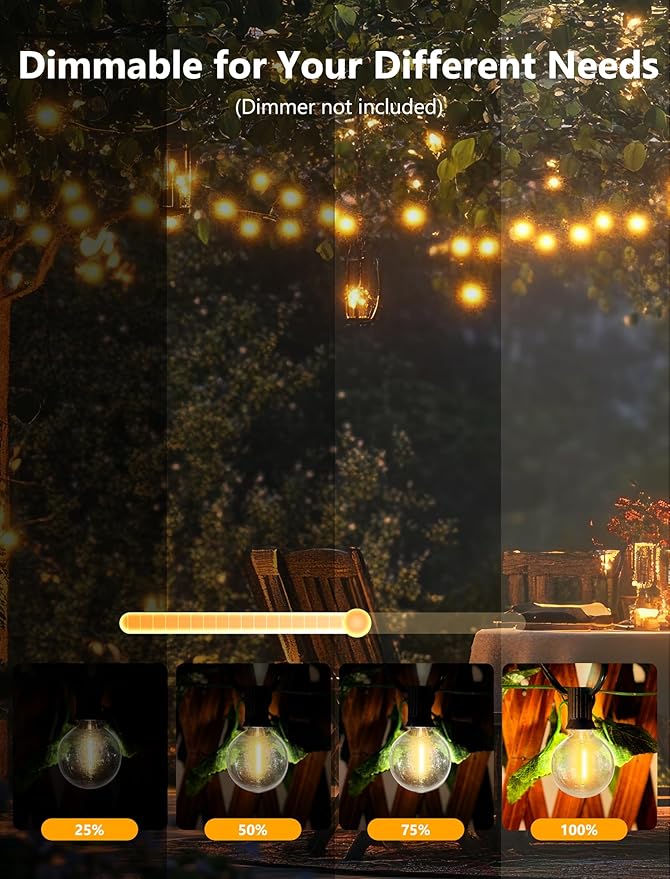 100FT LED Outdoor String Lights, G40 Globe Christmas String Lights Waterproof with 50 Warm White Bulbs & 2 Spare | Lumora