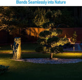 LEONLITE 5CCT Decorative Stone Light Outdoor, 5W LED Low Voltage Landscape Lighting for Garden, Yard, 12-24V AC/DC | Lumora