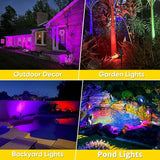 ROSHWEY Solar Spot Lights Outdoor, Colored Solar Outdoor Lights Waterproof Christmas Solar Powered Spotlight | Lumora