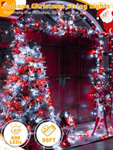 Christmas Lights 600 LED 98FT, Waterproof Outdoor String Lights with Remote and Timer, 8 Modes Dimmable Fairy | Lumora