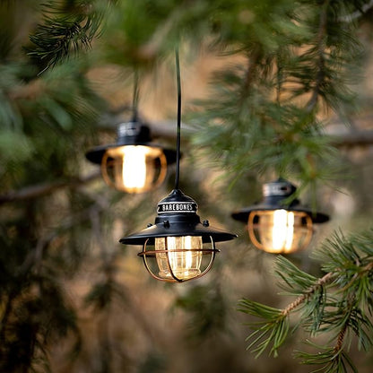 Barebones Edison Pendant String Lights - Antique Bronze, 3 Edison-Style LED Bulbs with 10-Foot Cord, Energy-Efficient Outdoor Lanterns for Patio, Garden, or Indoor Decor