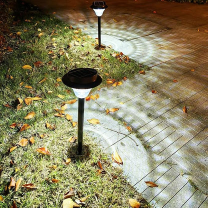 Solar Pathway Lights Outdoor 2 Pack, Solar Sidewalk Garden Lights 20000h Lifespan, Up to 12 Hours Auto On/Off, Outdoor Waterproof Solar Lights for Sidewalk Patio Lawn with Design