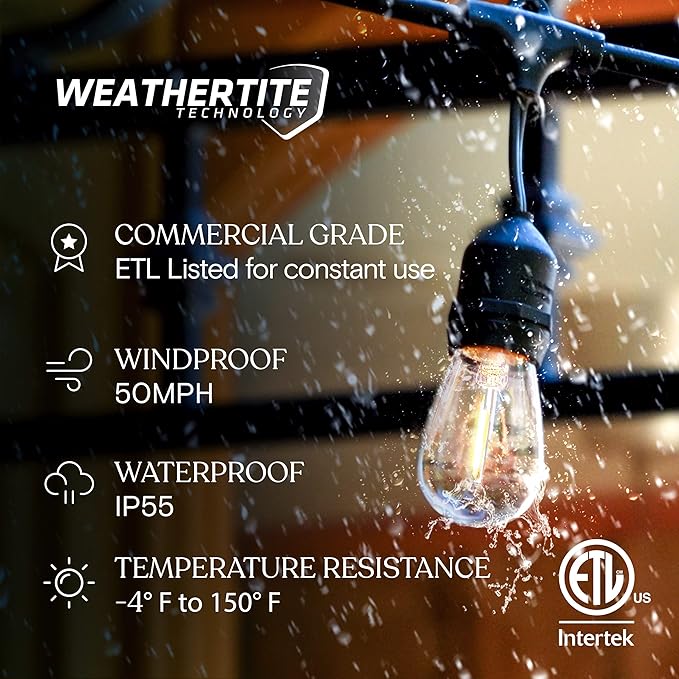 Brightech Ambience Pro LED String Lights Plus Outdoor Smart Dimmer Plug with Remote Control - 48 Ft Commercial Grade Patio Lights Outdoor Waterproof
