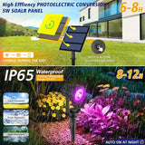 T-SUNUS RGB Solar Spot Lights Christmas Outdoor 6-in-1, Color Changing Landscape Spotlights Pond Lighting | Lumora