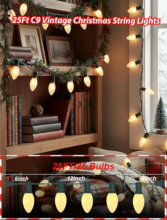 25ft Warm White Christmas Lights Outdoor,Frosted White Christmas Lights with 26 Incandescent Bulbs(1 Spare),Hanging Vintage Christmas Light for Patio Holidays Christmas Tree Decor