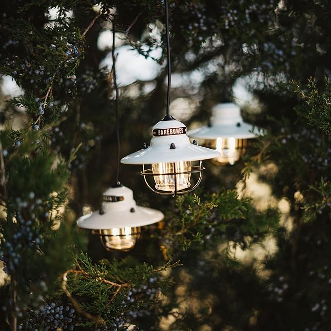 Barebones Edison Pendant String Lights - Vintage White, 3 Edison-Style LED Bulbs with 10-Foot Cord, Energy-Efficient Outdoor Lanterns for Patio, Garden, or Indoor Decor