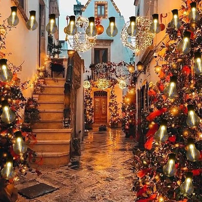 Vintage Christmas Lights Battery Powered 6.5Ft 10 LED Edison Hanging Lights with Remote Timer, Indoor Fairy Lights Shatterproof Outdoor Patio String Lights for Bedroom Garden Camping Christmas Decor