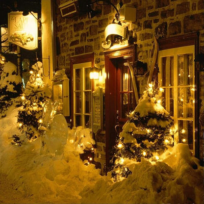 RUICHEN USB Plug in String Lights Silver Wire 66 Ft 200 LED Starry Fairy Lights with On/Off Switch, Warm White
