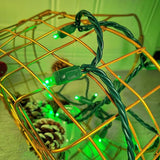 Christmas Lights LED Commercial Mini LED String Lights, 120V UL, Green Wire Xmas Lights for Indoor & Outdoor Use | Lumora
