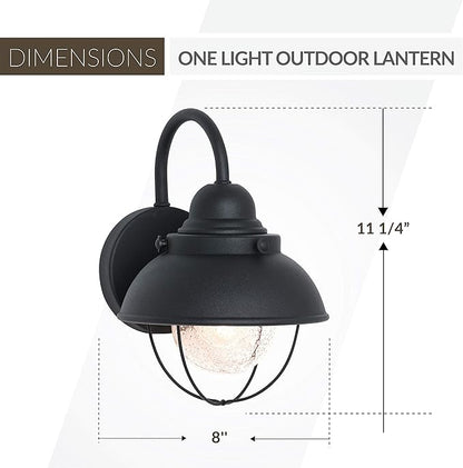 Sea Gull Lighting 8870-12 Sebring One-Light Outdoor Wall Lantern with Clear Seeded Glass Diffuser, Black Finish, 11.25'' Height